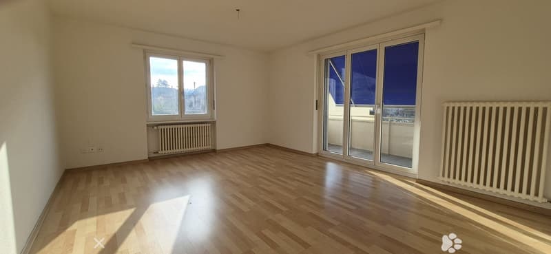 Schönes 4,5-Zimmer-Apartment in Biel (2)