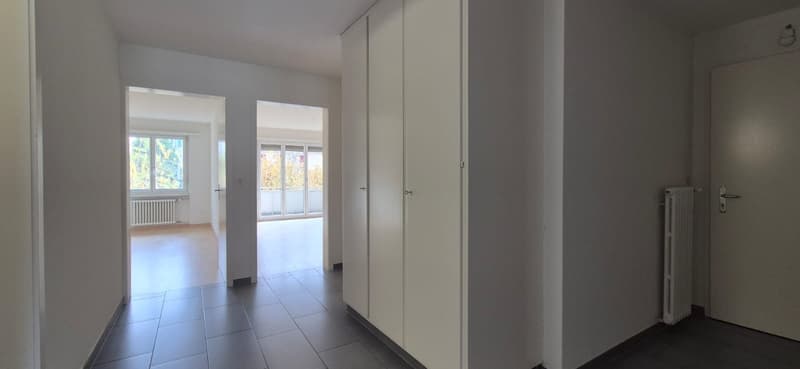 Charmant appartement de 3,5 pièces à louer à Bienne (7)