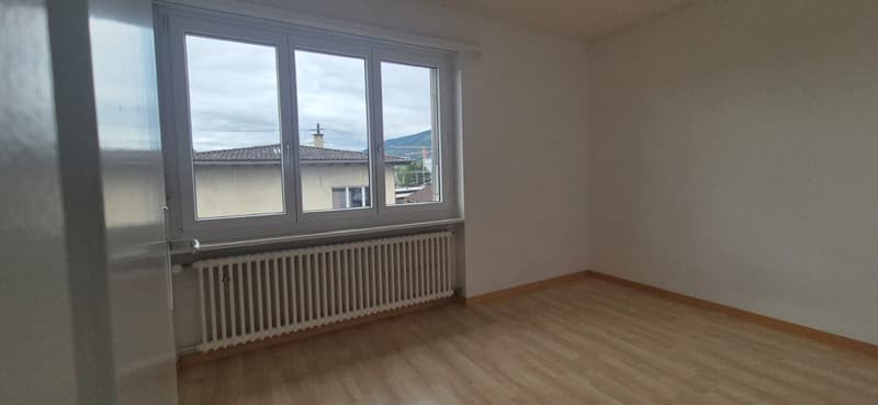 Charmant appartement de 3,5 pièces avec terrasse (3)