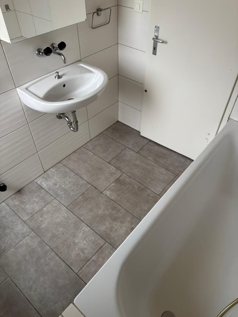 Magnifique appartement en attique de 4.5 pièces à Bienne (4)