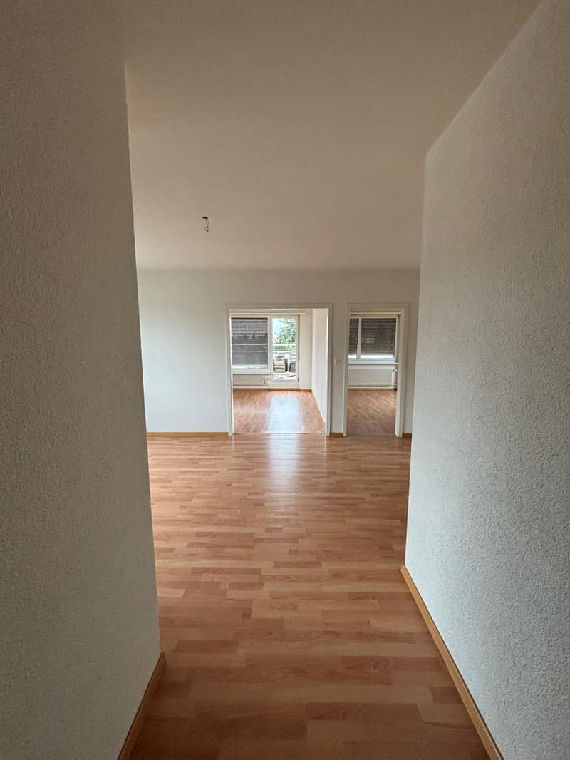 Magnifique appartement en attique de 4.5 pièces à Bienne (8)
