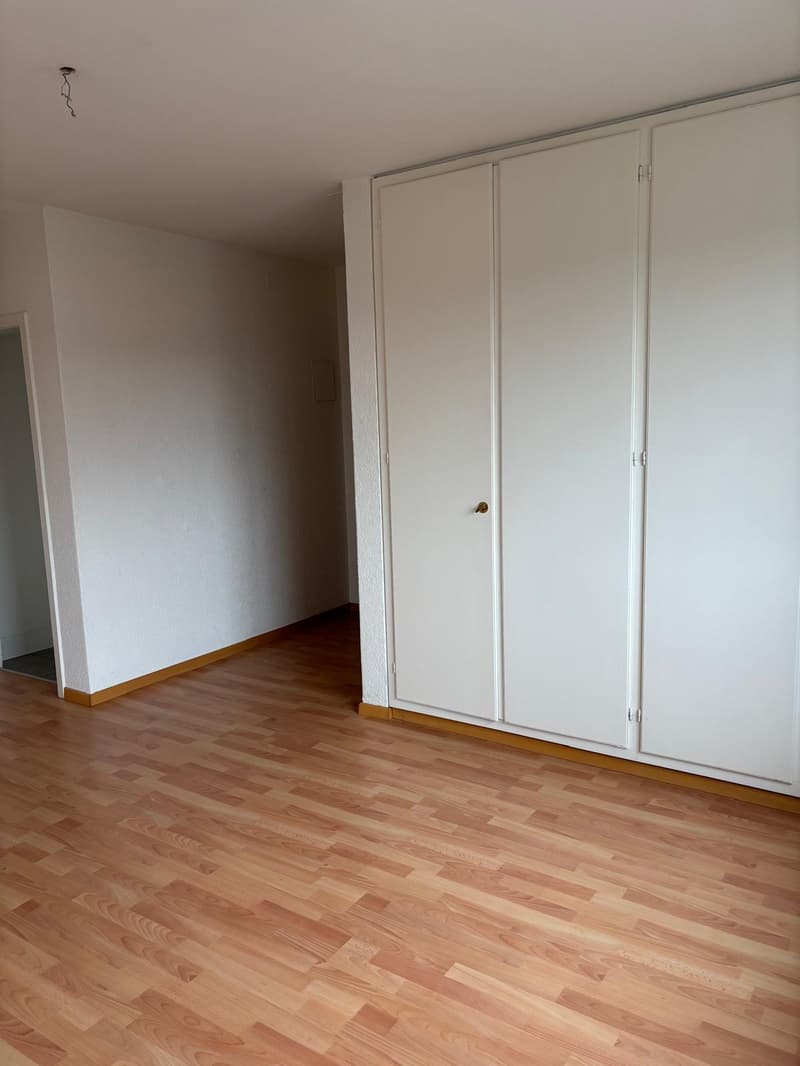 Magnifique appartement en attique de 4.5 pièces à Bienne (10)