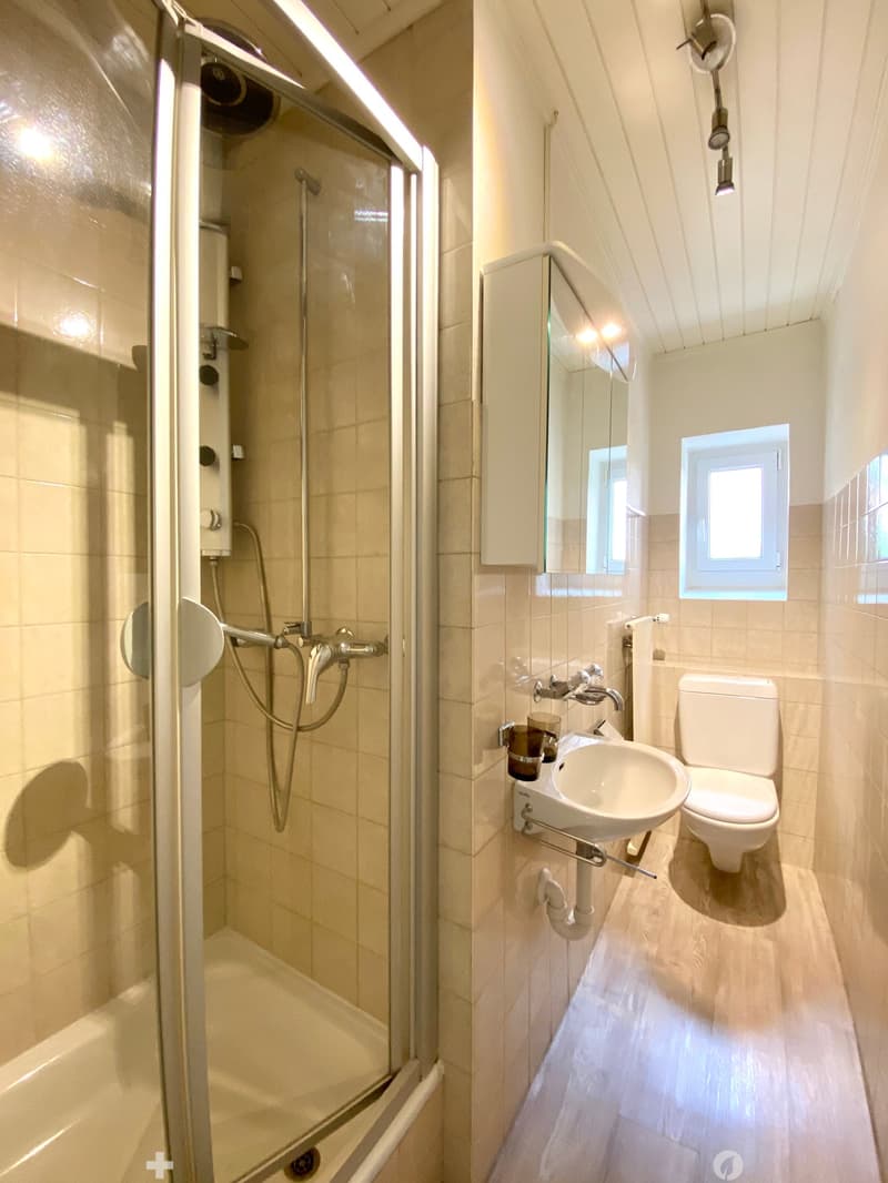 TOP Helle 3-Zimmerwohnung ganz Zentral (7)