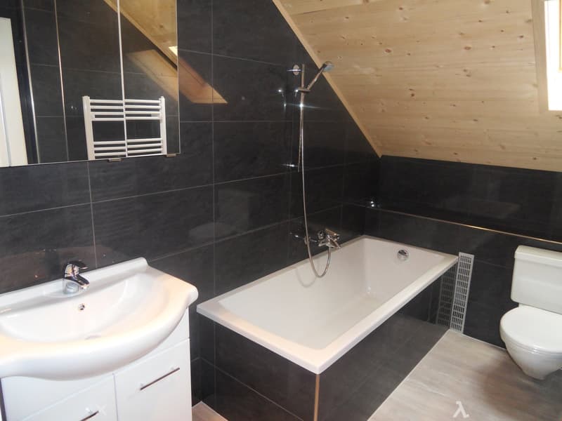 TOP Aussergewöhnliche Dachwohnung mit Galerie ganz Zentral (6)
