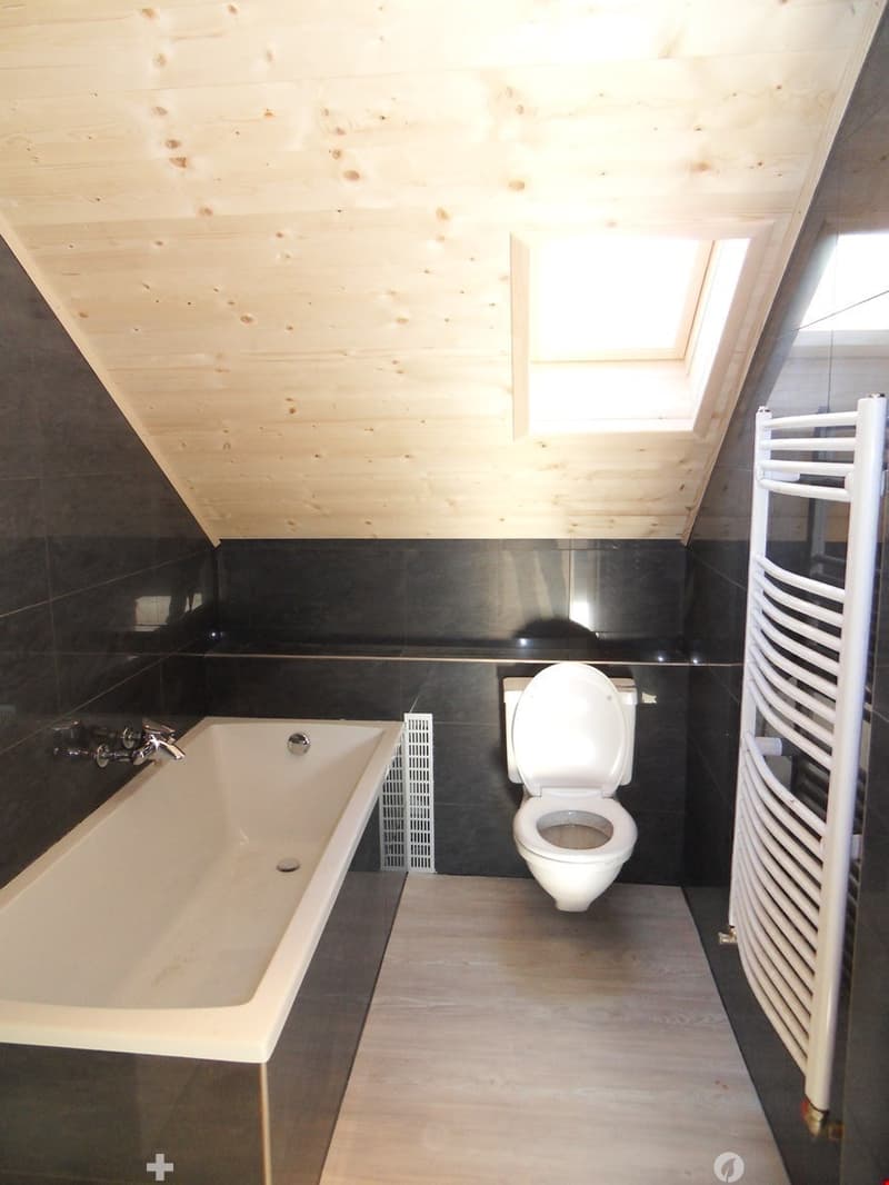 TOP Aussergewöhnliche Dachwohnung mit Galerie ganz Zentral (7)