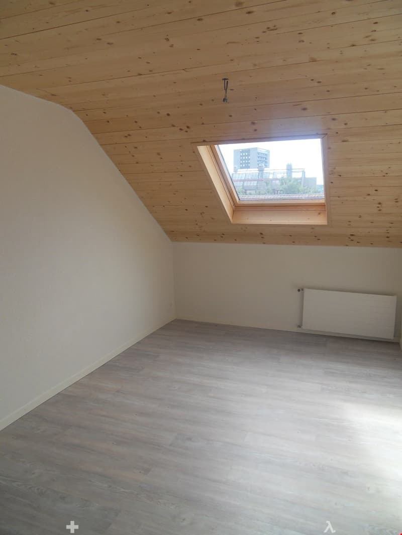TOP Aussergewöhnliche Dachwohnung mit Galerie ganz Zentral (5)