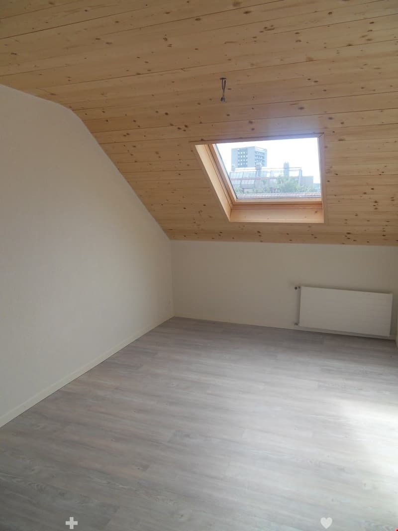 TOP Aussergewöhnliche Dachwohnung mit Galerie ganz Zentral (5)