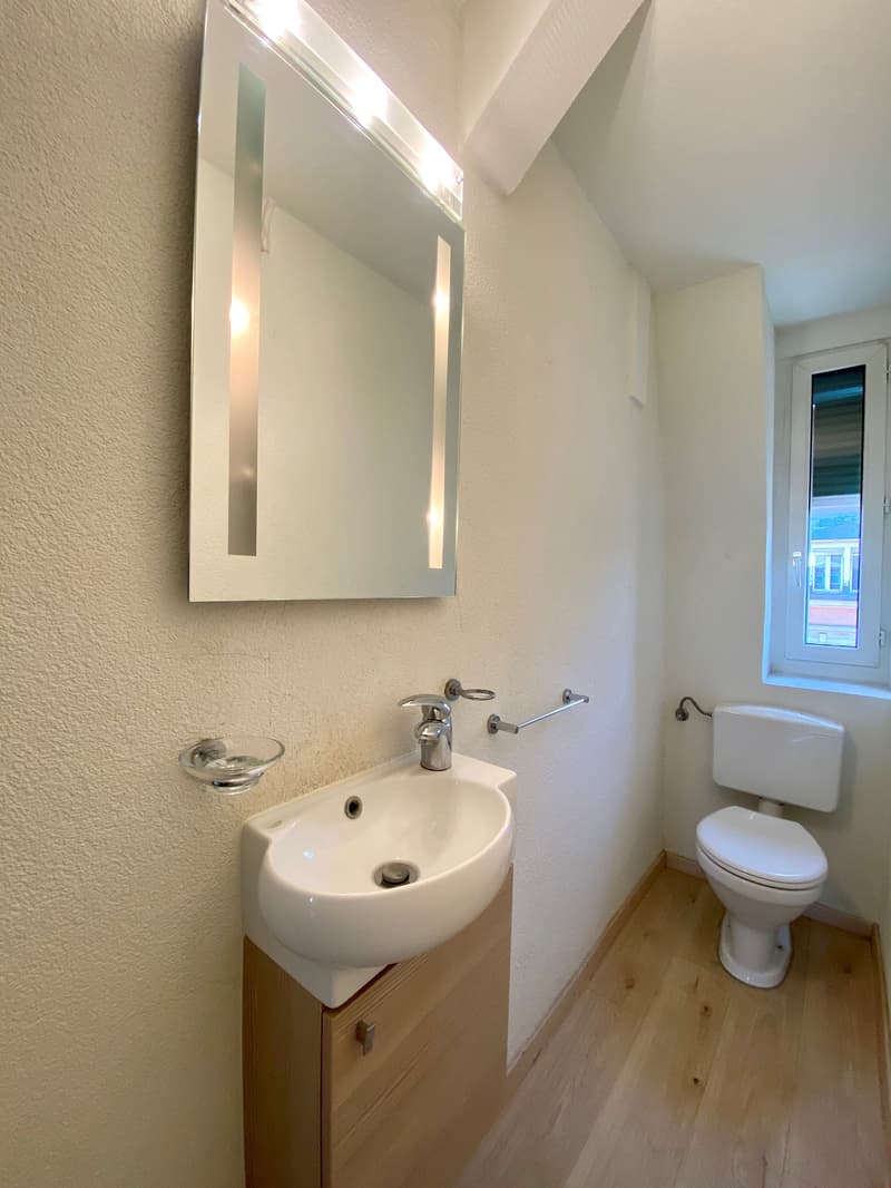 TOP Helle, ruhige Duplex-Dachwohnung 3..5 Zimmer mit Balkon (9)