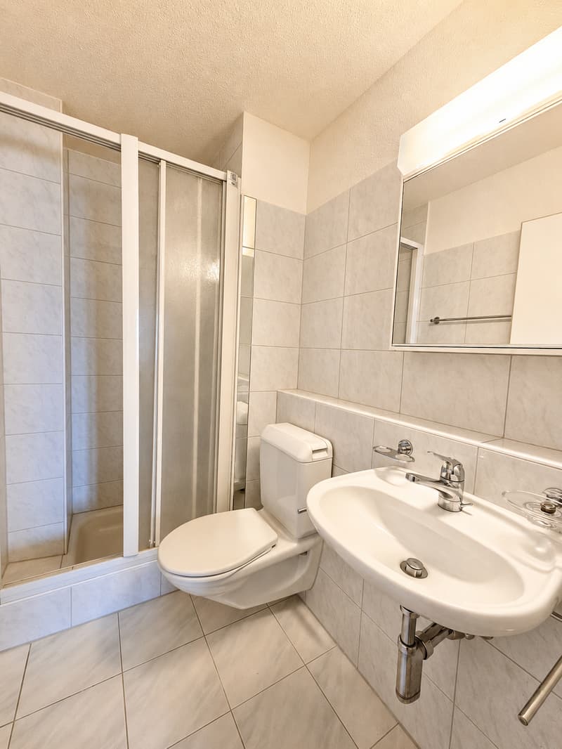 Geräumige 5.5-Zimmer-Maisonette-Wohnung in Leuggern – sofort verfügbar! (4)