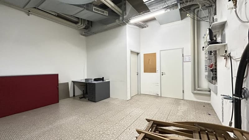 Central commercial space - gastronomy or alternative use (20)