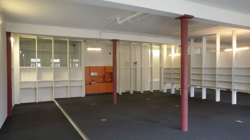 Büro- und Gewerbeflächen, Alpina Areal (11)
