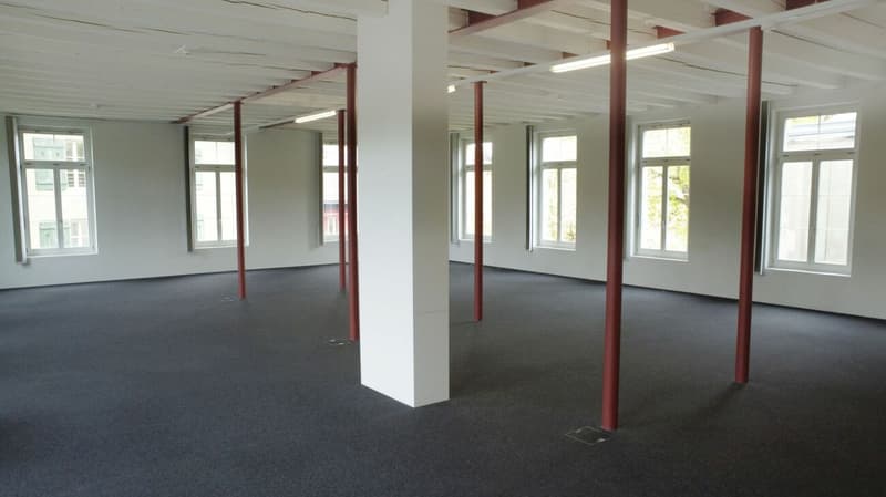Büro- und Gewerbeflächen, Alpina Areal (6)
