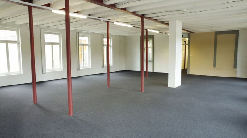 Büro- und Gewerbeflächen, Alpina Areal (9)