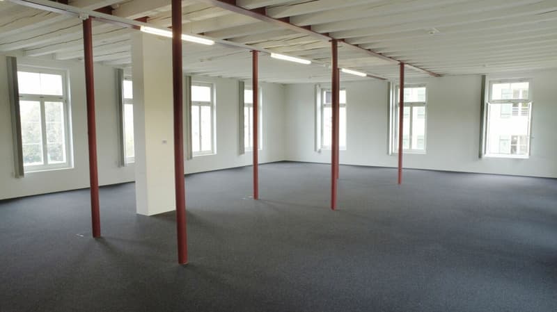 Büro- und Gewerbeflächen, Alpina Areal (8)