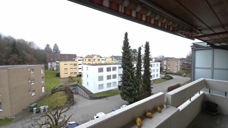 Living in a 3.5-room apartment on the top floor with a balcony (4)