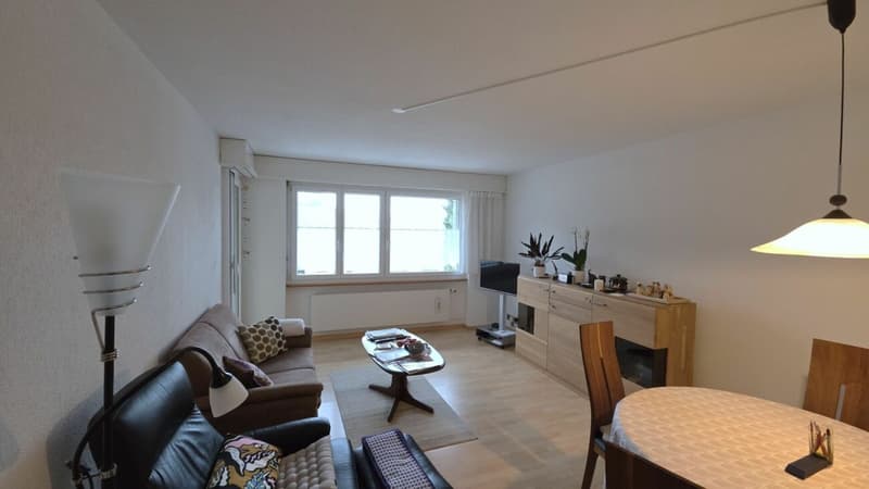 Living in a 3.5-room apartment on the top floor with a balcony (1)