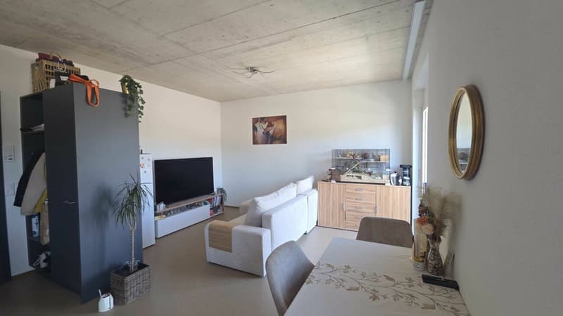 Appartamento 1.5 locali (3)