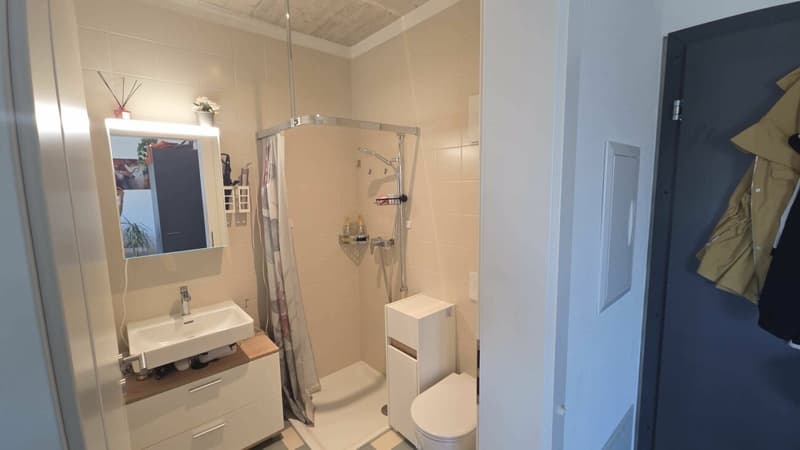Appartamento 1.5 locali (6)