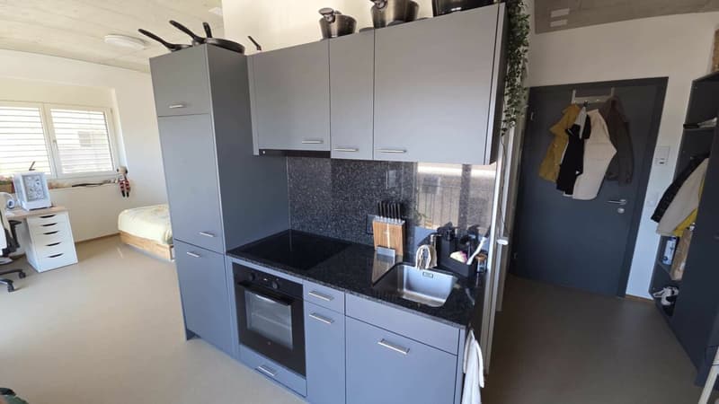 Appartamento 1.5 locali (1)