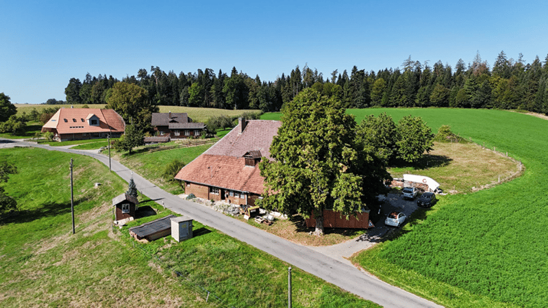 Ehemaliges Bauernhaus - ländliches Wohnen mit Charakter (2)
