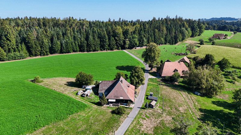 Ehemaliges Bauernhaus - ländliches Wohnen mit Charakter (5)