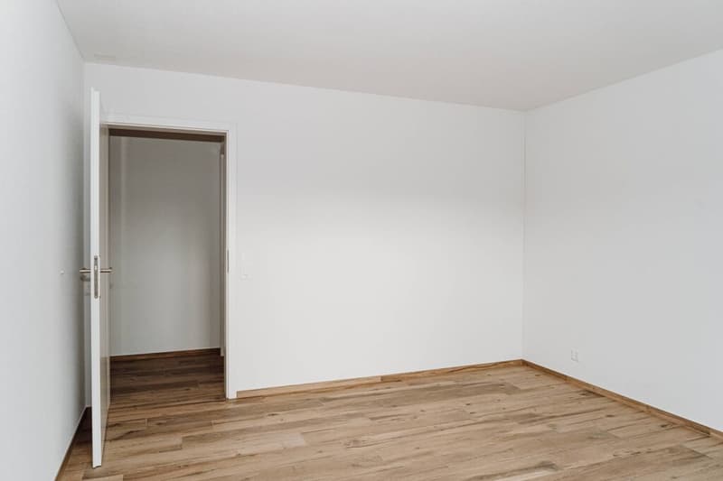 Modern 4.5-room apartment with a landscape view in Grossdietwil (3)