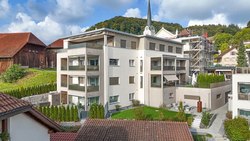 Modern 4.5-room apartment with a landscape view in Grossdietwil (26)