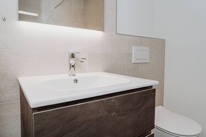 Modern 4.5-room apartment with a landscape view in Grossdietwil (12)