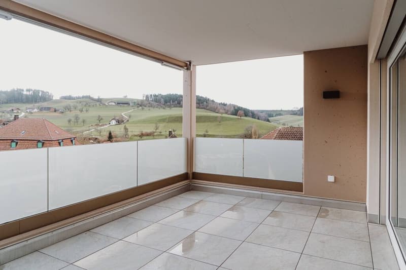 Modern 4.5-room apartment with a landscape view in Grossdietwil (5)