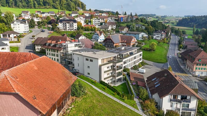 Modern 4.5-room apartment with a landscape view in Grossdietwil (21)