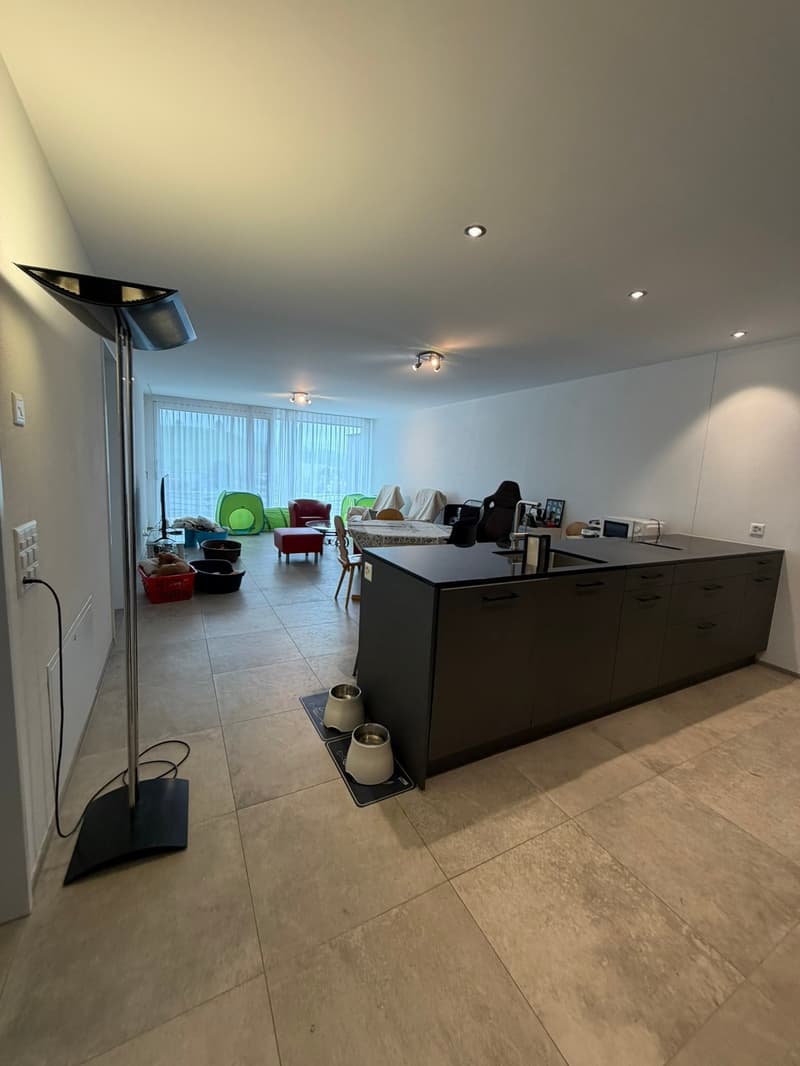 Large 3.5 room apartment 92.5m2, 2 wet cells and 36 m2 terrace (4)
