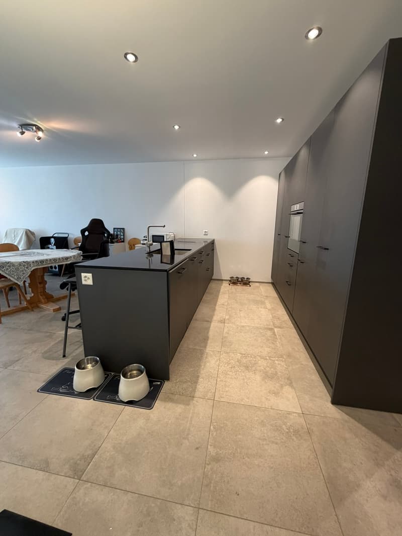 Large 3.5 room apartment 92.5m2, 2 wet cells and 36 m2 terrace (5)