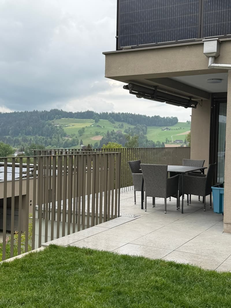Large 3.5 room apartment 92.5m2, 2 wet cells and 36 m2 terrace (2)