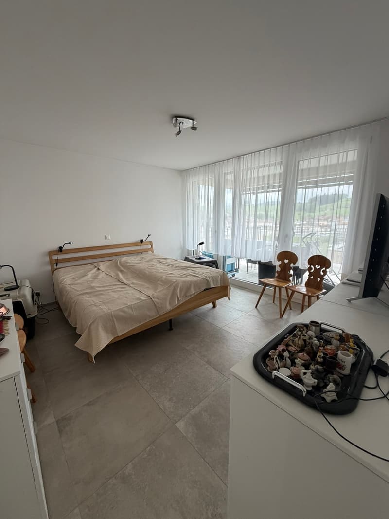 Large 3.5 room apartment 92.5m2, 2 wet cells and 36 m2 terrace (6)