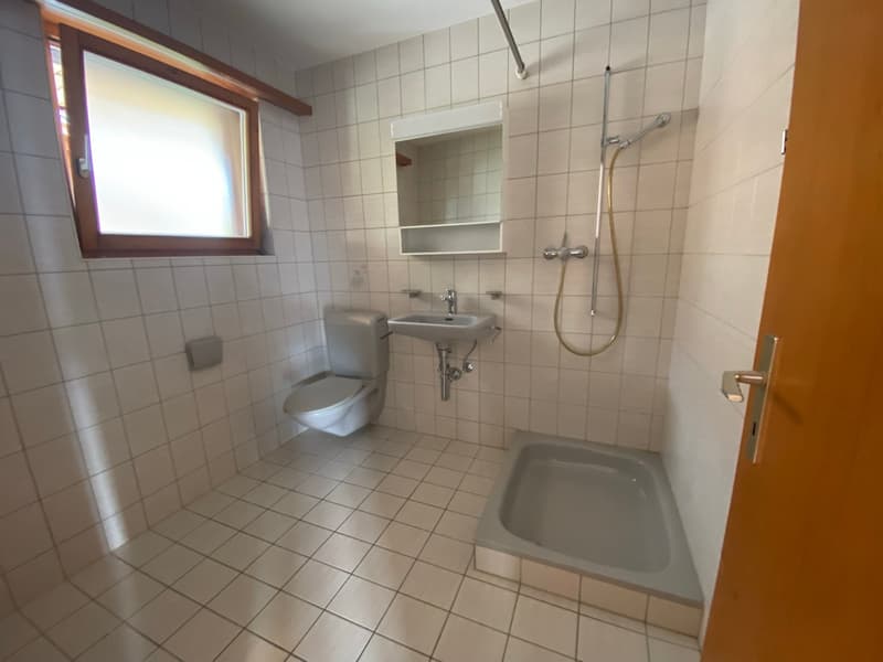 Charmantes Studio mit Seeblick in Brienz (7)