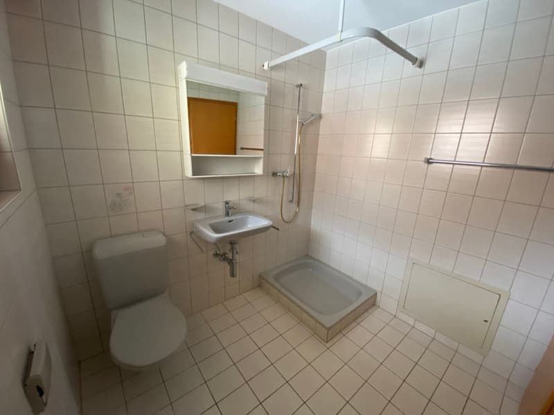Charmantes Studio mit Seeblick in Brienz (6)
