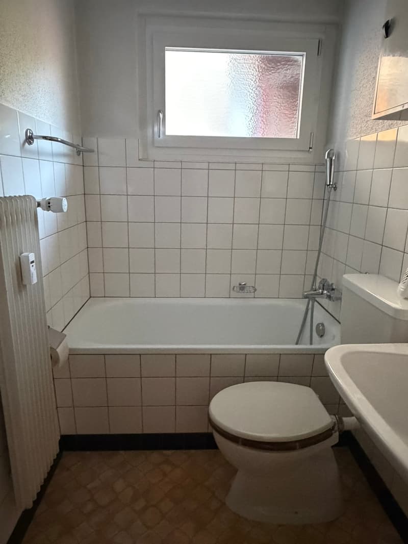 Charmante 3-Zimmer-Wohnung mit Seesicht in Brienz (7)