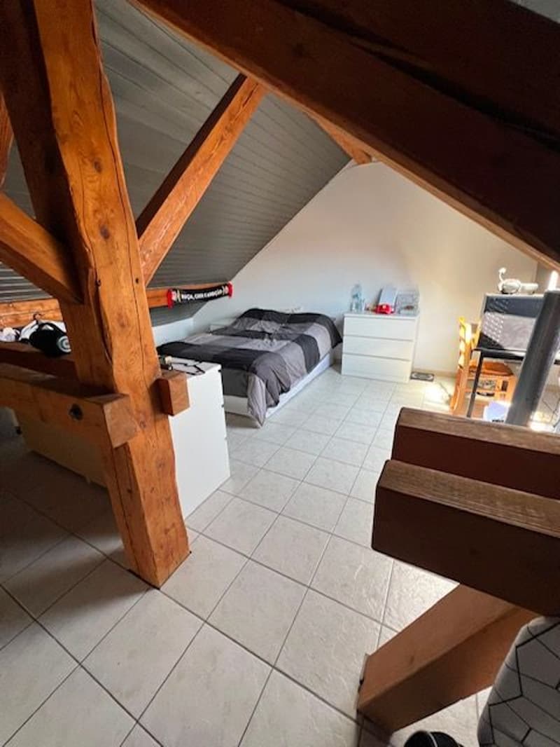 Charming furnished 1.5-room loft in the attic in Etoy (6)