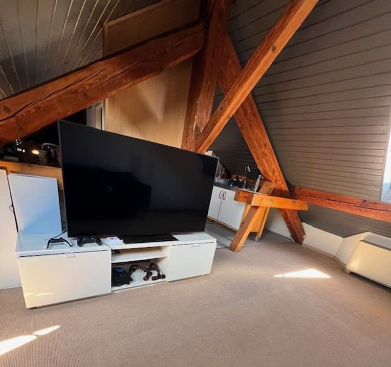 Charming furnished 1.5-room loft in the attic in Etoy (3)