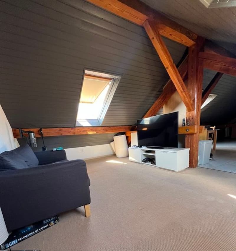 Charming furnished 1.5-room loft in the attic in Etoy (1)