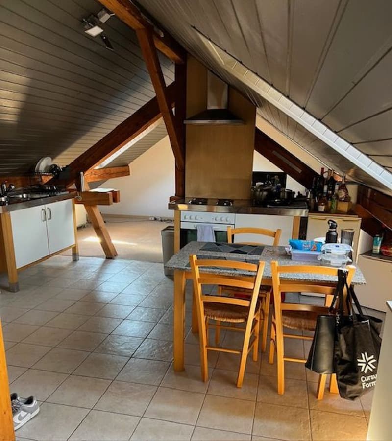 Charming furnished 1.5-room loft in the attic in Etoy (5)