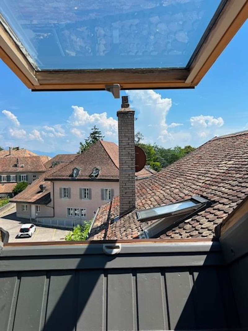 Charming furnished 1.5-room loft in the attic in Etoy (7)