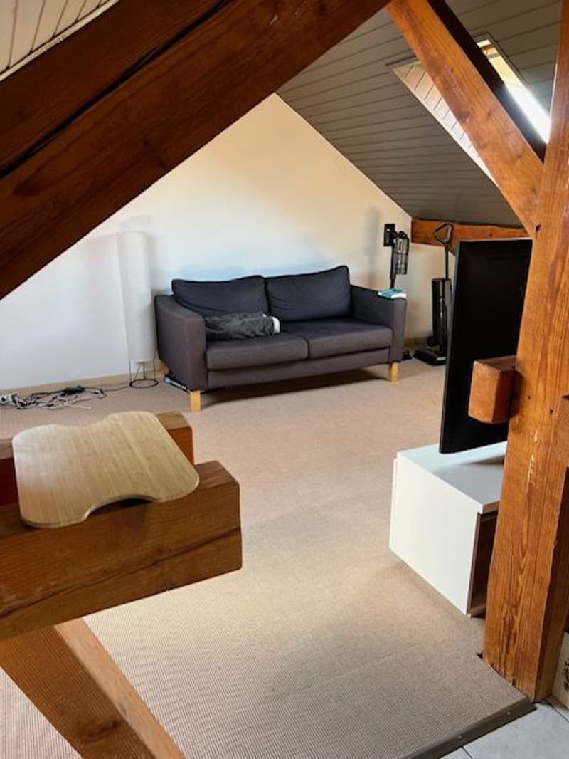 Charming furnished 1.5-room loft in the attic in Etoy (4)