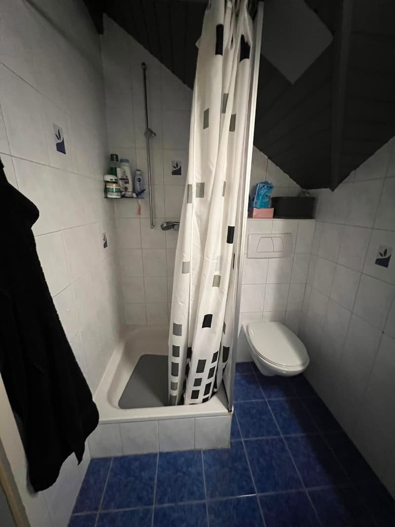 Charming furnished 1.5-room loft in the attic in Etoy (8)
