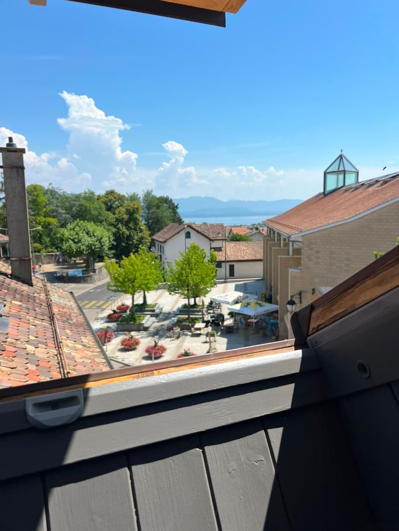 Charming furnished 1.5-room loft in the attic in Etoy (2)