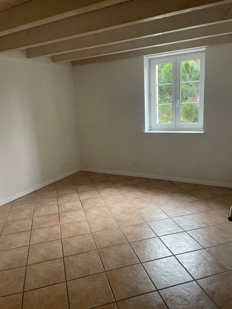Charmant appartement Centre Etoy (3)