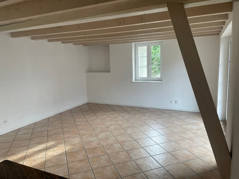 Charmant appartement Centre Etoy (2)