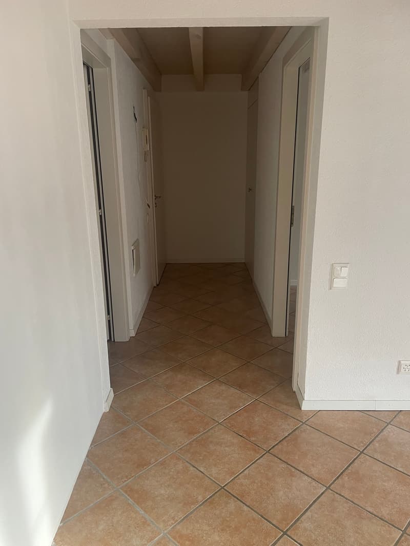 Charmant appartement Centre Etoy (7)