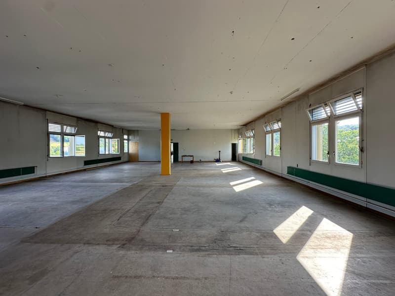 empty room, concrete floor, large windows