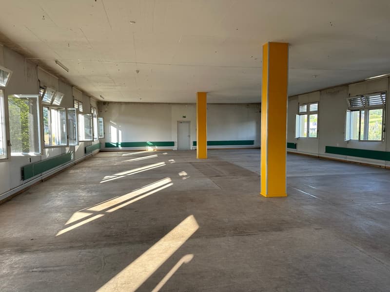 An empty room with white walls, grey flooring, yellow columns, large windows, and white ceiling.